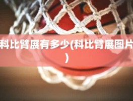 科比臂展有多少(科比臂展图片)