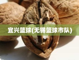 宜兴篮球(无锡篮球市队)