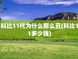 科比11代为什么那么丑(科比11多少钱)