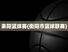 耒阳篮球赛(衡阳市篮球联赛)