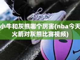 小牛和灰熊哪个厉害(nba今天火箭对灰熊比赛视频)