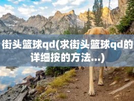 街头篮球qd(求街头篮球qd的详细按的方法...)