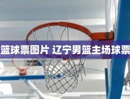 篮球票图片 辽宁男篮主场球票