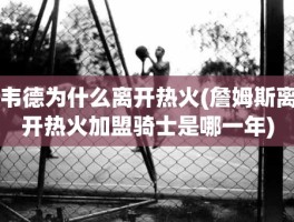 韦德为什么离开热火(詹姆斯离开热火加盟骑士是哪一年)