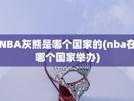 NBA灰熊是哪个国家的(nba在哪个国家举办)