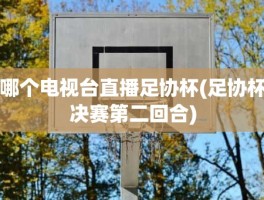 哪个电视台直播足协杯(足协杯决赛第二回合)