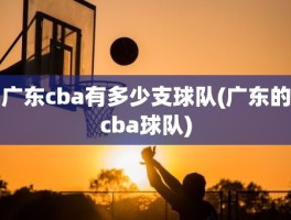 广东cba有多少支球队(广东的cba球队)