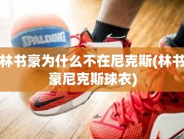 林书豪为什么不在尼克斯(林书豪尼克斯球衣)