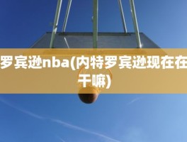 罗宾逊nba(内特罗宾逊现在在干嘛)