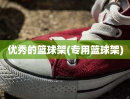 优秀的篮球架(专用篮球架)