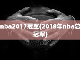 nba2017冠军(2018年nba总冠军)