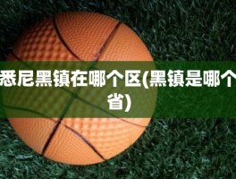 悉尼黑镇在哪个区(黑镇是哪个省)