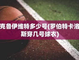 克鲁伊维特多少号(罗伯特卡洛斯穿几号球衣)