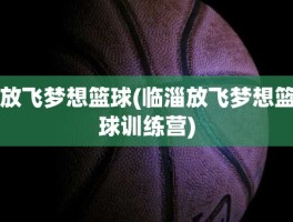 放飞梦想篮球(临淄放飞梦想篮球训练营)