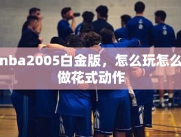 nba2005白金版，怎么玩怎么做花式动作