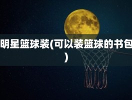 明星篮球装(可以装篮球的书包)