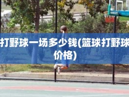打野球一场多少钱(篮球打野球价格)