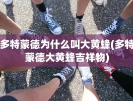 多特蒙德为什么叫大黄蜂(多特蒙德大黄蜂吉祥物)