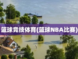 篮球竞技体育(篮球NBA比赛)