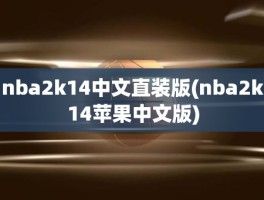 nba2k14中文直装版(nba2k14苹果中文版)