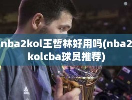 nba2kol王哲林好用吗(nba2kolcba球员推荐)