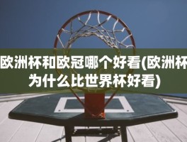 欧洲杯和欧冠哪个好看(欧洲杯为什么比世界杯好看)