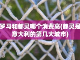 罗马和都灵哪个消费高(都灵是意大利的第几大城市)