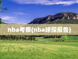 nba考察(nba球探报告)