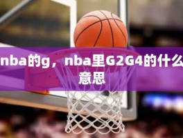 nba的g，nba里G2G4的什么意思