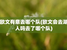 欧文有意去哪个队(欧文会去湖人吗去了哪个队)