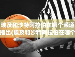 埃及和沙特阿拉伯在哪个频道播出(埃及和沙特阿拉伯在哪个频道播出)