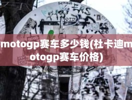 motogp赛车多少钱(杜卡迪motogp赛车价格)