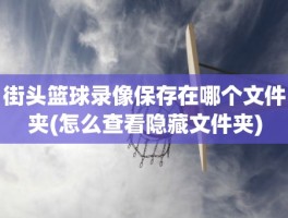 街头篮球录像保存在哪个文件夹(怎么查看隐藏文件夹)