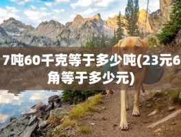 7吨60千克等于多少吨(23元6角等于多少元)