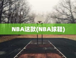 NBA这款(NBA球鞋)