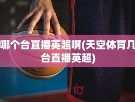 哪个台直播英超啊(天空体育几台直播英超)