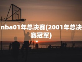nba01年总决赛(2001年总决赛冠军)