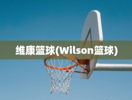 维康篮球(Wilson篮球)