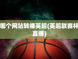 哪个网站转播英超(英超联赛杯直播)