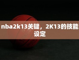 nba2k13关键，2K13的技能设定