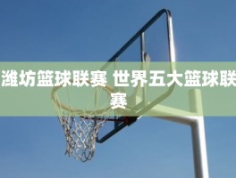 潍坊篮球联赛 世界五大篮球联赛