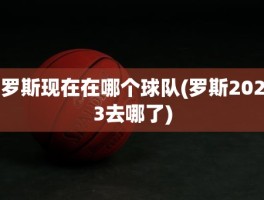 罗斯现在在哪个球队(罗斯2023去哪了)