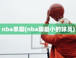 nba单脚(nba脚最小的球员)