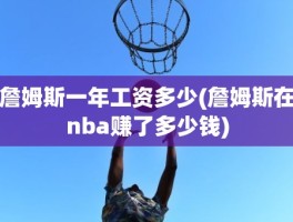 詹姆斯一年工资多少(詹姆斯在nba赚了多少钱)