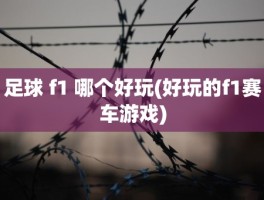 足球 f1 哪个好玩(好玩的f1赛车游戏)