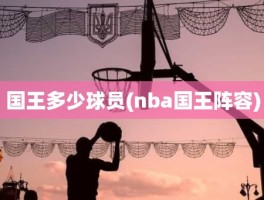 国王多少球员(nba国王阵容)