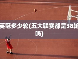 英冠多少轮(五大联赛都是38轮吗)