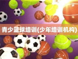 青少篮球培训(少年培训机构)