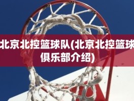 北京北控篮球队(北京北控篮球俱乐部介绍)