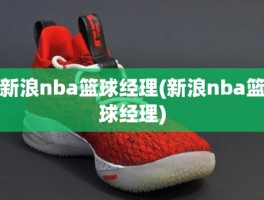 新浪nba篮球经理(新浪nba篮球经理)